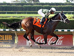 Two T's At Two B wins the 2012 Frank Gomez Memorial Stakes.