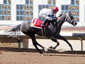Tyger Teras wins the 2013 Aztec Oaks.