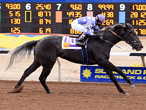 Tyger Teras wins the 2013 La Senora Stakes.