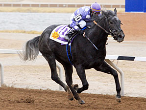 Tyger Teras wins the 2013 La Senora Stakes.