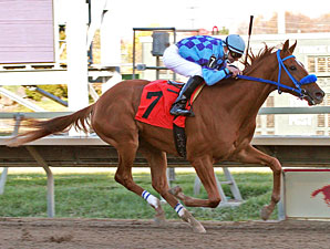 Ucan'tcme wins the 2010 Christopher Elser Memorial Stakes.