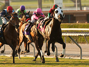 Ultimate Eagle wins the 2011 Oak Tree Derby.