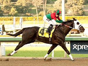 Ultimate Eagle wins the 2012 Strub.