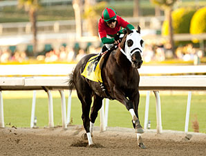 Ultimate Eagle wins the 2012 Strub.