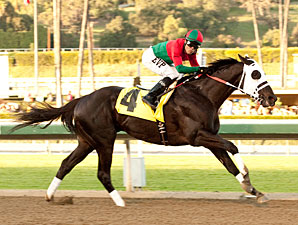 Ultimate Eagle wins the 2012 Strub.