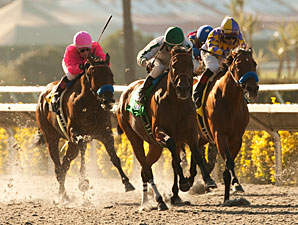 Ultra Blend wins the 2011 Clement Hirsch.