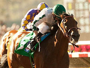 Ultra Blend wins the 2011 Clement Hirsch.