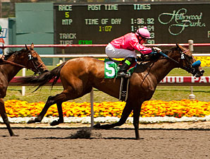 Ultra Blend wins the Milady Handicap.