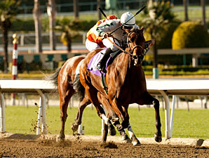 Ultra Blend wins the 2011 Valentine Dancer.