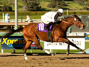 Ultra Blend wins the 2011 Valentine Dancer.