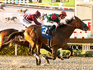 U'narack wins the 2013 Real Good Deal Stakes.