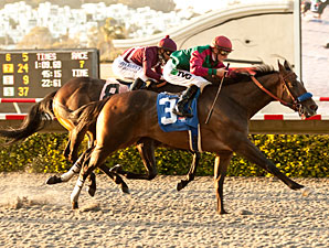 U'narack wins the 2013 Real Good Deal Stakes.