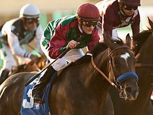 U'narack wins the 2013 Real Good Deal Stakes.
