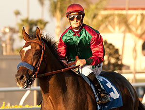 U'narack wins the 2013 Real Good Deal Stakes.