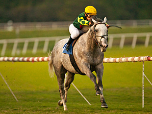 Unbridled Command in the Hollywood Derby.