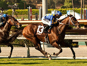 Unbridled's Note wins the 2012 Eddie D.