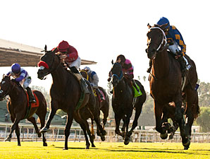 Unbridled's Note wins the 2012 Eddie D.