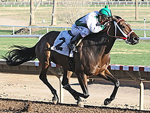 Uncle Dave wins the 2013 Luke Kruytbosch Stakes.