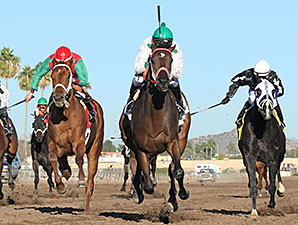 Uncle Dave wins the 2013 Luke Kruytbosch Stakes.