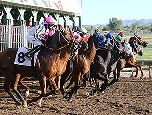 Uncle Dave wins the 2013 Luke Kruytbosch Stakes.