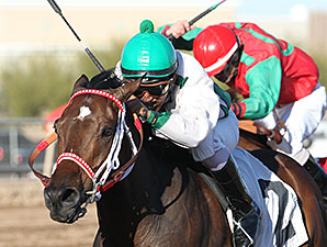 Uncle Dave wins the 2013 Luke Kruytbosch Stakes.