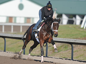 Uncle Mo working January 2011.