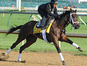 Uncle Mo - Churchill Downs May 5, 2011.