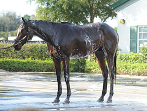 Uncle Mo taking a bath after his work, January 2011.