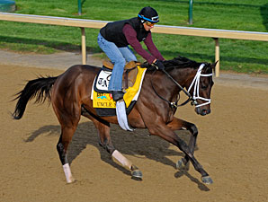 Uncle Mo - Churchill Downs April 28, 2011.