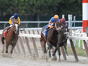 Uncle Mo wins the 2011 Kelso.