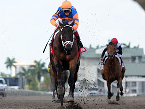 Uncle Mo wins the 2011 Timely Writer.