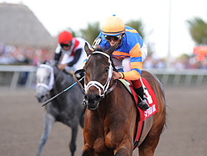 Uncle Mo wins the 2011 Timely Writer.
