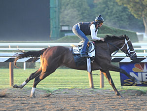 Uncle Mo works at Saratoga on July 28, 2011.
