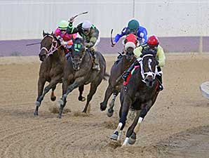Uncle Todd wins the 2014 Webb Snyder Charles Town Dash Stakes.