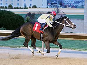 Uncle Todd wins the 2014 Webb Snyder Charles Town Dash Stakes.