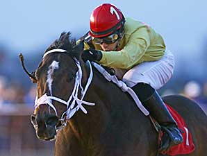 Uncle Todd wins the 2014 Webb Snyder Charles Town Dash Stakes.