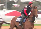Underwood Stakes Preview: Anthony Freedman Underwood Stakes Preview: Anthony Freedman