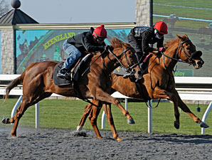 Undrafted (outside) works at Keeneland on April 6, 2013.