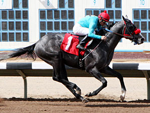 Unfettered wins the 2013 SunRay Park Casino Handicap.