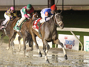 Unforgotten wins the 2009 Treasure Chest