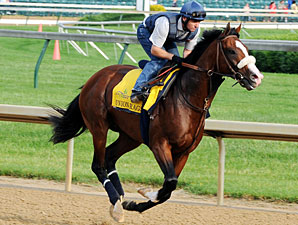 Union Rags - Churchill Downs, May 3, 2012.