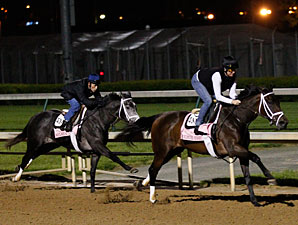 Unlimited Budget works with Silsita at Churchill Downs