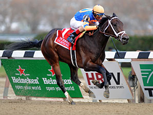Unlimited Budget wins the 2012 Demoiselle.