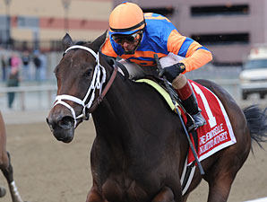Unlimited Budget wins the 2012 Demoiselle.