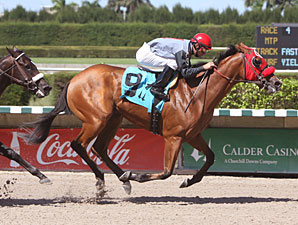 Uno Caliente wins the 2010 Birdonthewire Stakes.