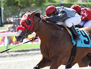 Uno Caliente wins the 2010 Birdonthewire Stakes.