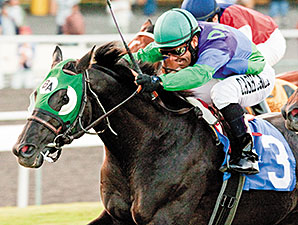 Unusual Suspect wins the Hollywood Turf Cup.