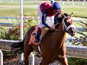 Unusual Way wins the 2012 Wine Country Debutante.