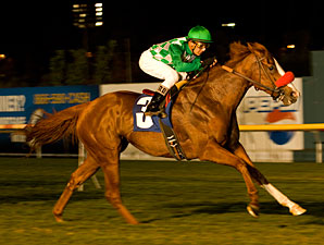 Unzip Me wins the 2010 Sen. Ken Maddy.
