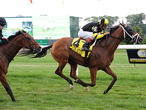 Upgrade wins the 2012 Jaipur.